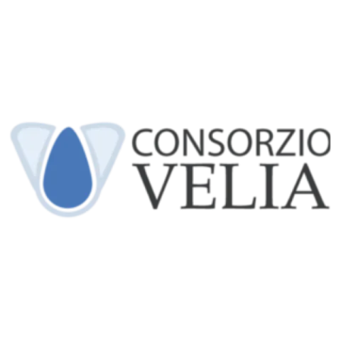 consorzio velia